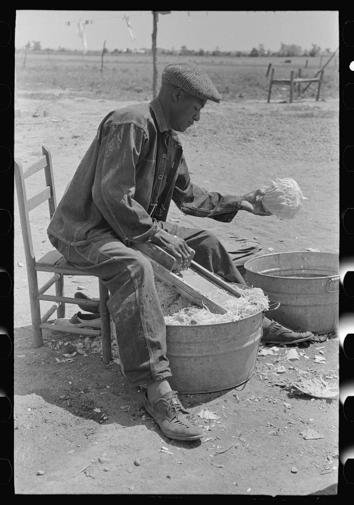 Southeast Missouri Farms. FSA (Farm Security Administration) client shredding cabbage at new farmstead; cabbage is cut up as…