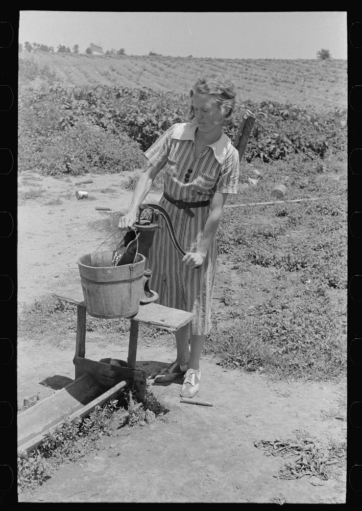 Daughter of sharecropper pumping water, New Madrid County, Missouri by Russell Lee