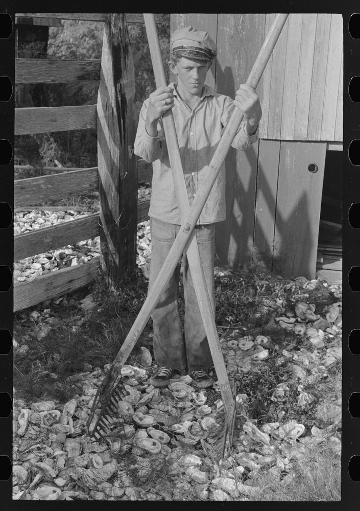 Boy with oyster rake used for scooping oysters in fishing operations, Olga, Louisiana by Russell Lee