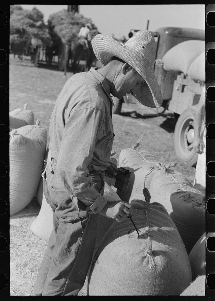 [Untitled photo, possibly related to: Rice workers painting identification marks on sacks of rice, Crowley, Louisiana] by…