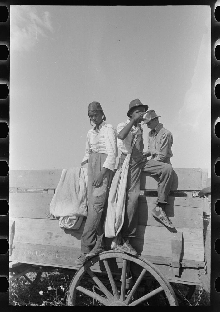  cotton pickers on truck, Lake Dick, Arkansas by Russell Lee