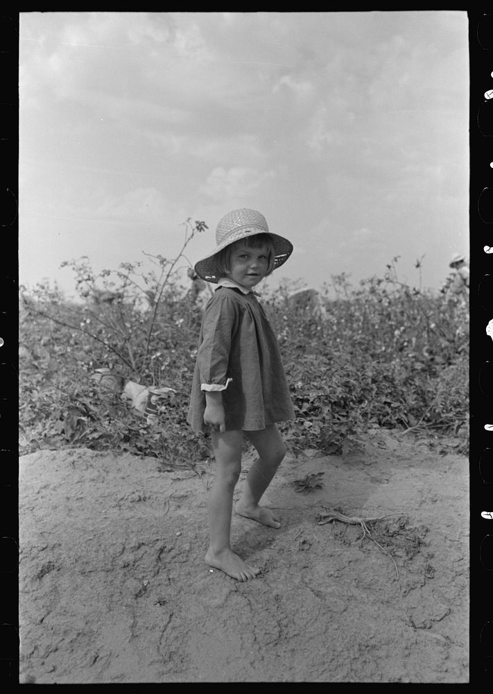 Child of farmer in cotton field, Lake Dick Project, Arkansas by Russell Lee