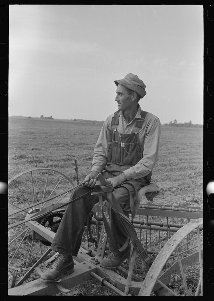 [Untitled photo, possibly related to: Raking soybean hay, Lake Dick Project, Arkansas] by Russell Lee