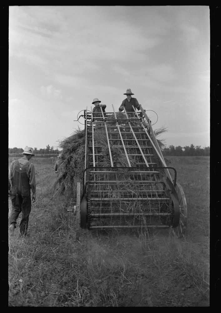 Hay loading machine in operation, Lake Dick Project, Arkansas by Russell Lee