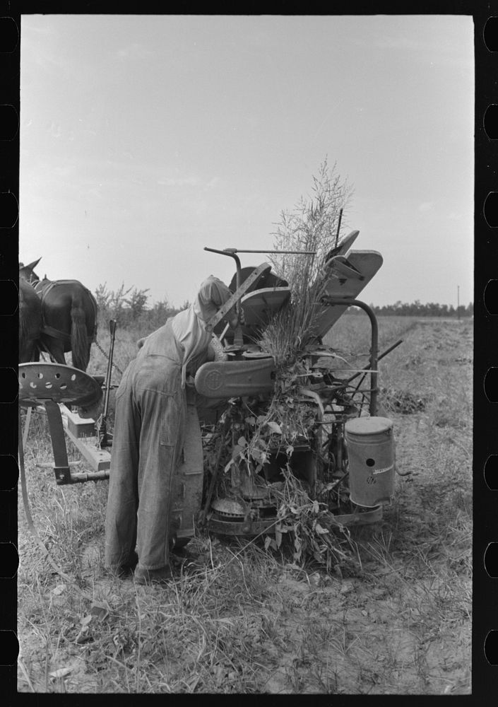 [Untitled photo, possibly related to: Member of Lake Dick Cooperative Association repairing mowing machine, Arkansas] by…