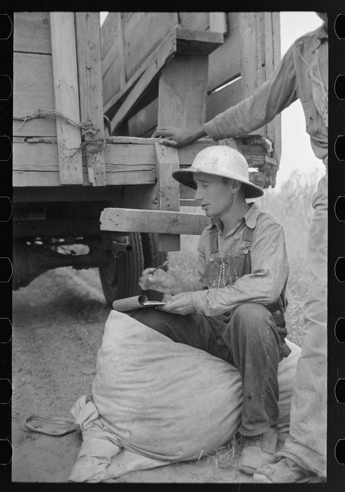 [Untitled photo, possibly related to: Recording weights of cotton picked by day laborers, Lake Dick Project, Arkansas] by…