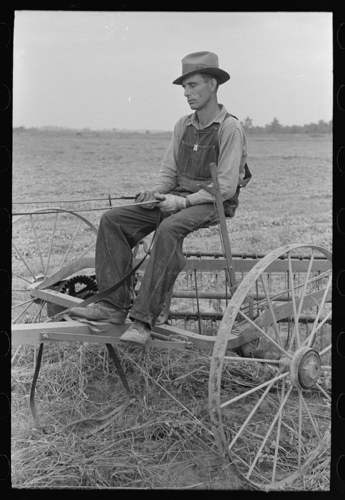 [Untitled photo, possibly related to: Member of Lake Dick Cooperative Association, Lake Dick Project, Arkansas] by Russell…