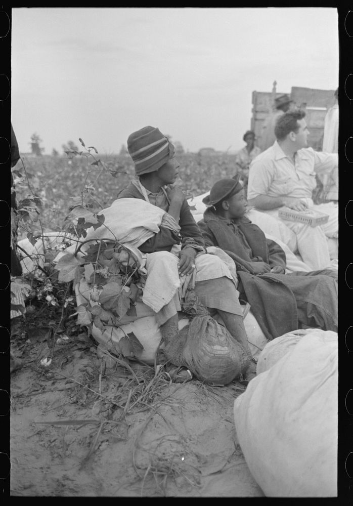 [Untitled photo, possibly related to: Day laborers, cotton pickers, in field, Lake Dick Project, Arkansas] by Russell Lee
