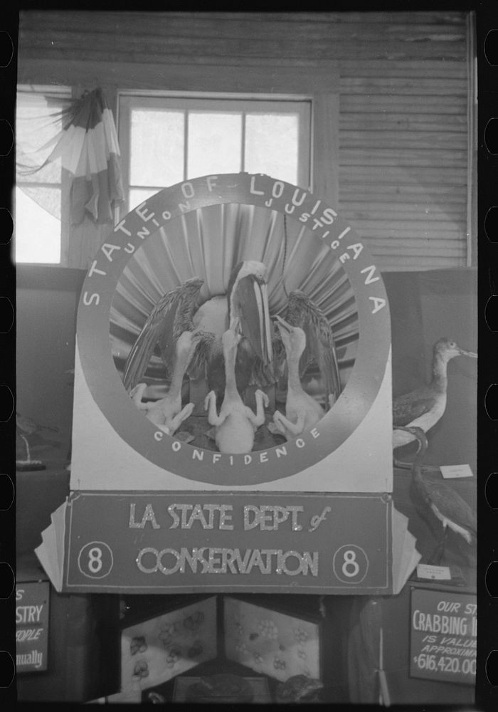 [Untitled photo, possibly related to: Loving couple look at exhibit, state fair, Donaldsonville, Louisiana] by Russell Lee