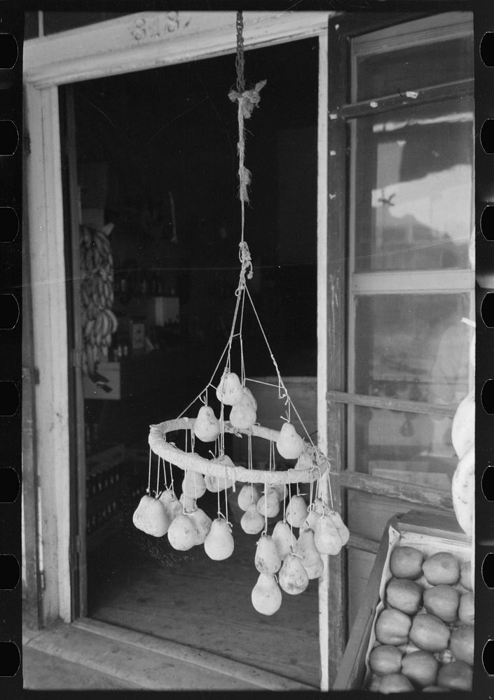 [Untitled photo, possibly related to: Pears hung from hoop by means of string. This is one method of keeping pears from…