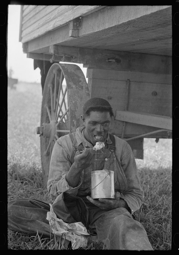 Man eating lunch in cane fields near New Iberia, Louisiana by Russell Lee