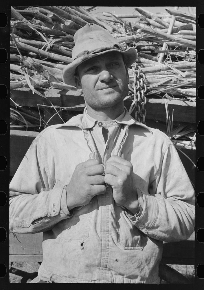 Sugarcane farmer near Delcambre, Louisiana by Russell Lee
