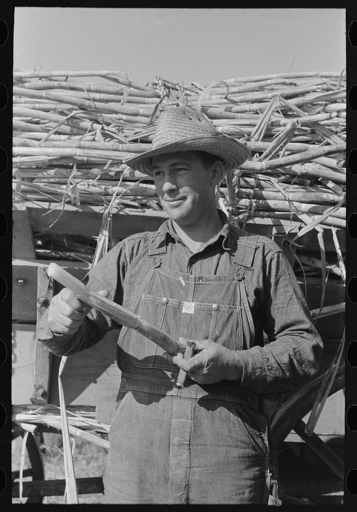 [Untitled photo, possibly related to: Sugarcane worker, Louisiana] by Russell Lee