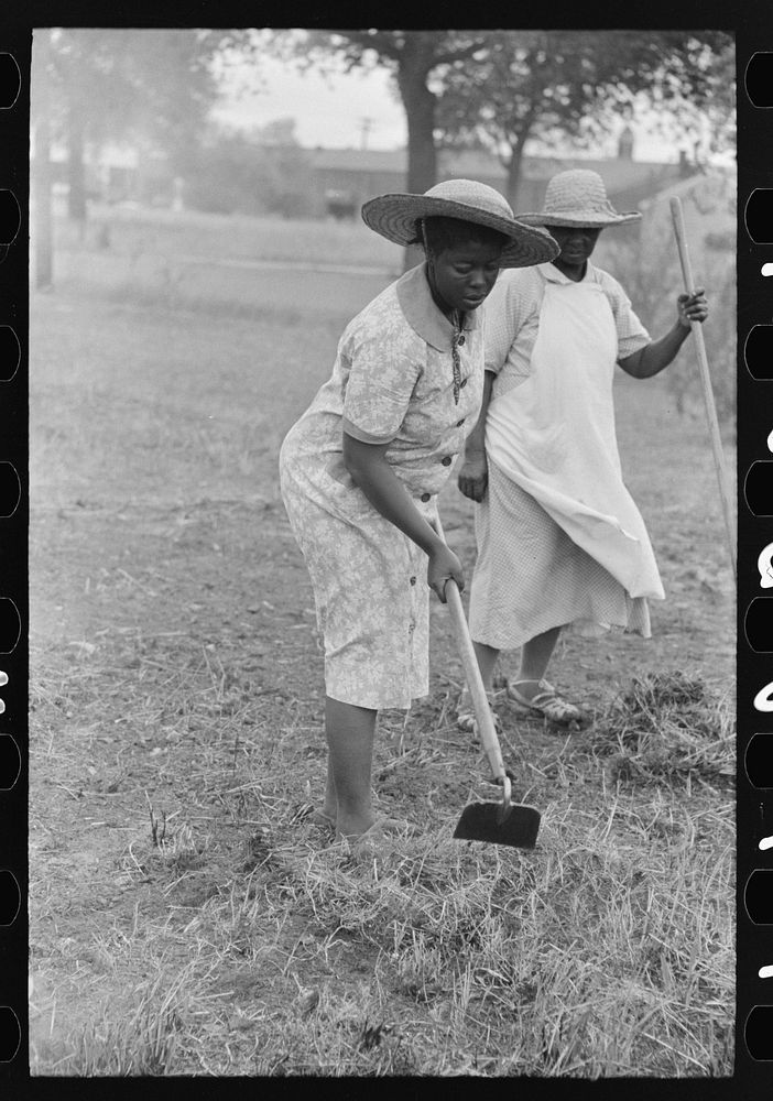 Women hoeing, Picayune, Mississippi by Russell Lee