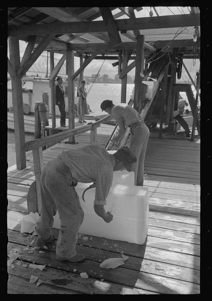 Chopping ice before shaving it to be used in icing shrimp boat, Morgan City, Louisiana by Russell Lee