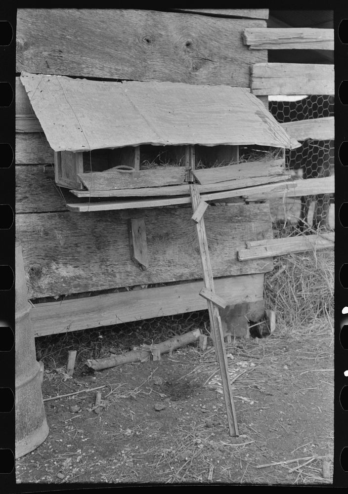 Hen nests at sharecropper's cabin near Pace, Mississippi. Background photo for Sunflower Plantation by Russell Lee