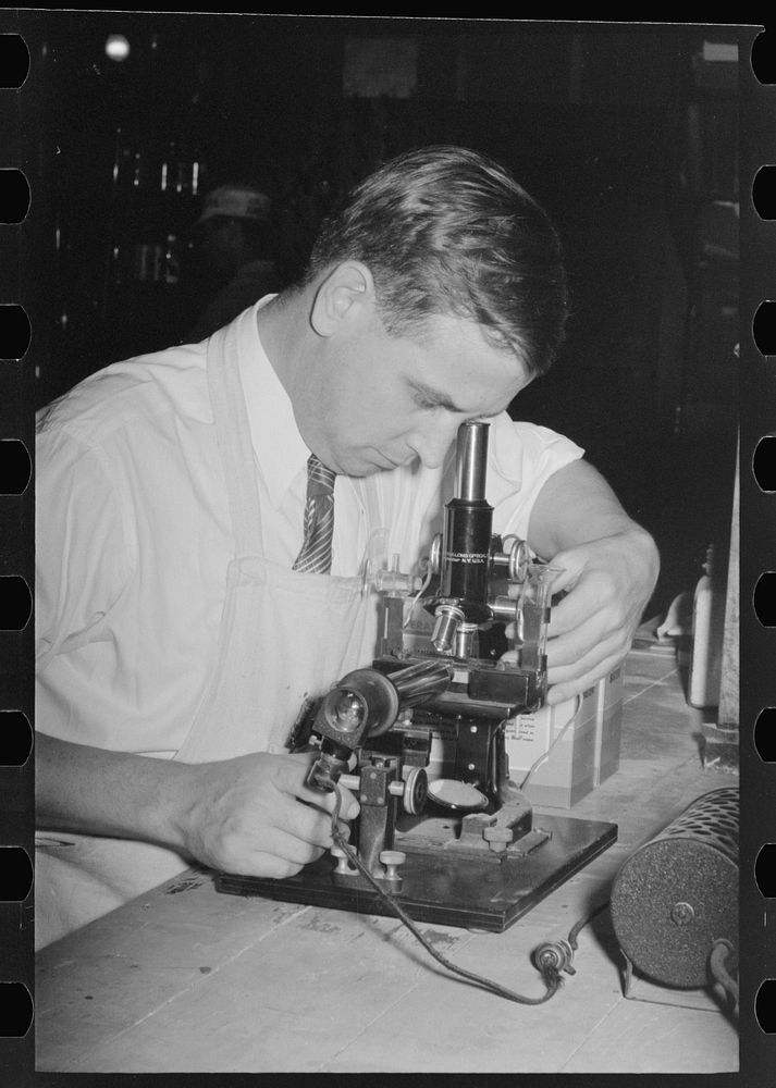 Chemist running microscopic test on sweet potato starch at plant, Laurel, Mississippi by Russell Lee