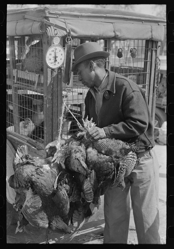 Weighing chickens in produce market, San Antonio, Texas by Russell Lee