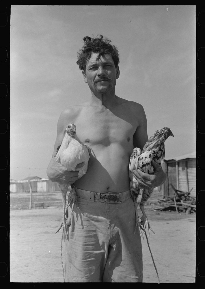 [Untitled photo, possibly related to: Mexican with his two fighting cocks, Crystal City, Texas] by Russell Lee