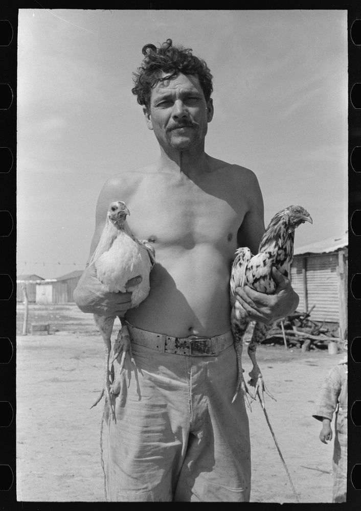 Mexican with his two fighting cocks, Crystal City, Texas by Russell Lee