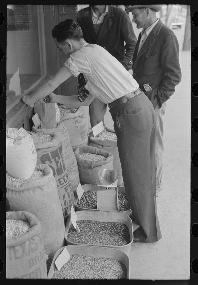 [Untitled photo, possibly related to: Clerk putting up seed, San Augustine, Texas] by Russell Lee