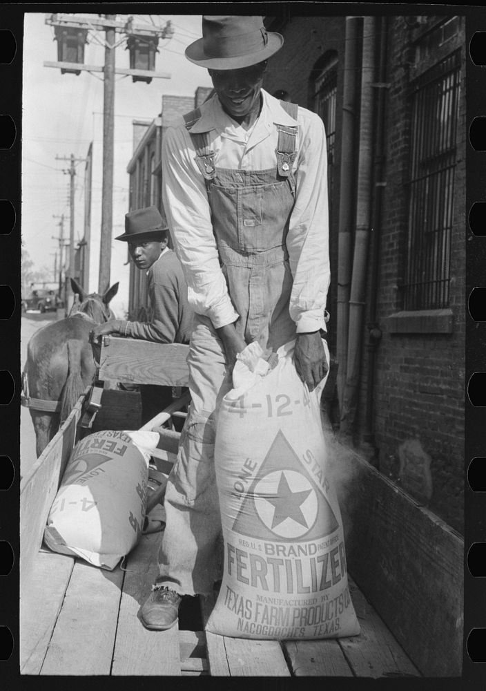  farmer hauling fertilizer onto his truck, San Augustine, Texas by Russell Lee