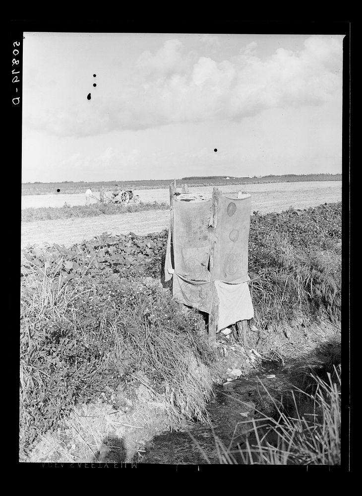 Privy alongside irrigation and drainage ditch for agricultural workers. Homestead, Florida. Sourced from the Library of…