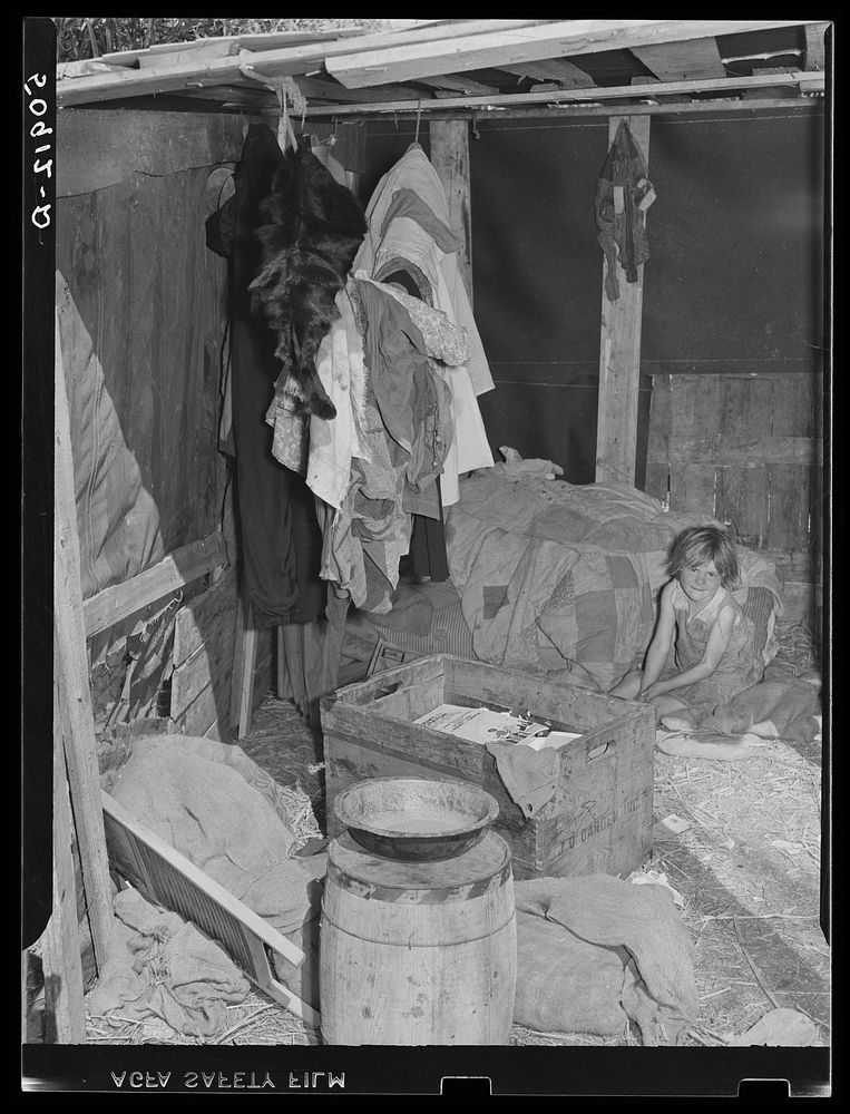 Migrant packinghouse worker's home, showing only bed for six people rolled up in the corner. They are from Tennessee.…
