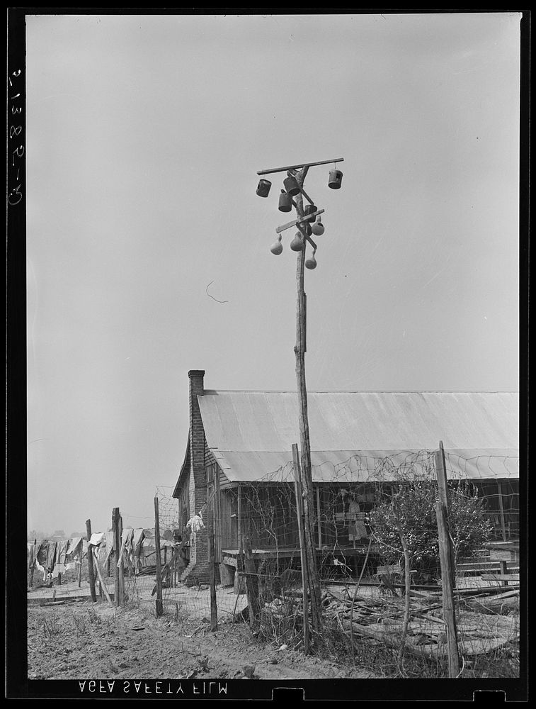 Typical birdhouses, gourds and tin cans in Coffee County, Alabama. Sourced from the Library of Congress.
