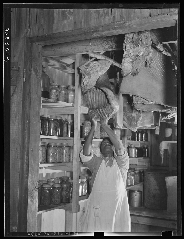 Mrs. Missouri Thomas in her smokehouse showing canned goods and cured meat. Flint River Farms, Georgia. Sourced from the…