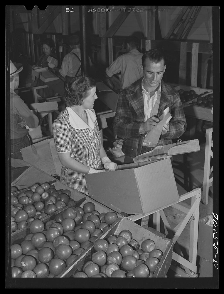 [Untitled photo, possibly related to: WPA (Work Projects Administration) instructor demonstrates proper method of wrapping…