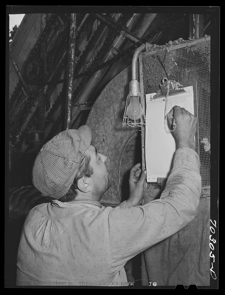 Weigher marking up weight of sacks of green hops picked by portable-type mechnical hop picker. Yakima County, Washington by…