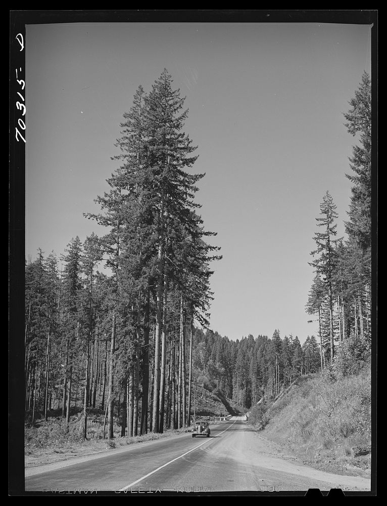 [Untitled photo, possibly related to: Clatsop County, Oregon] by Russell Lee