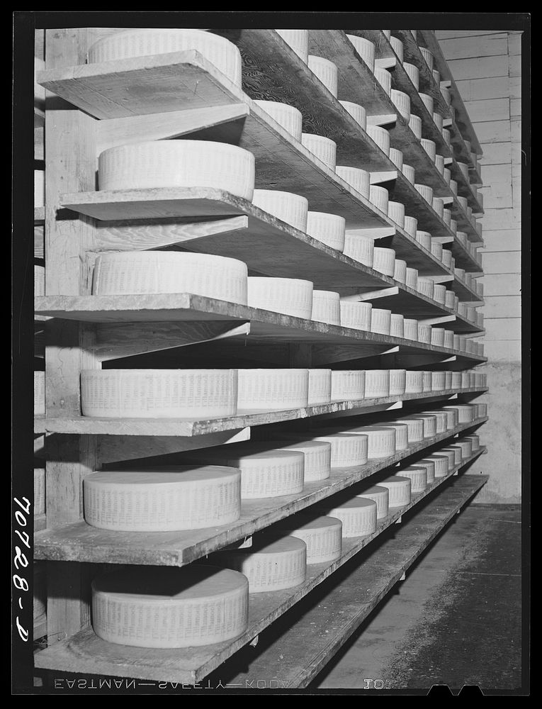 Tillamook cheese plant, Tillamook, Oregon. Cheese aging. Cheese made in Tillamook county had a value of 1,765,482 dollars in…