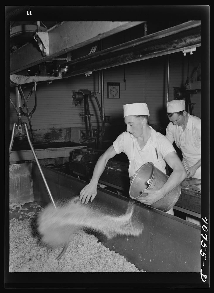 Salting the curd at the Tillamook cheese plant. Tillamook, Oregon by Russell Lee