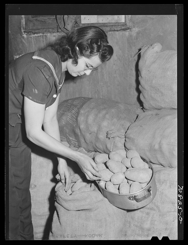 Mrs. Lee Wagoner, wife of Black Canyon Project farmer, gets homegrown potatoes from storeroom. Canyon County, Idaho by…