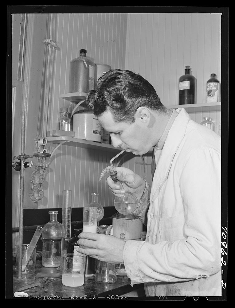 Salinas, California. Intercontinental Rubber Producers. Harry Baucher, head chemist, works in the company laboratory on…