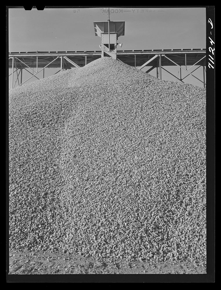 Gravel to be used in construction of Shasta Dam. Shasta County, California by Russell Lee