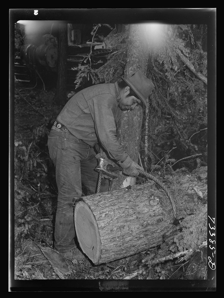 Grant County, Oregon. Malheur National Forest. Lumberjack hitching cable to log so that caterpillar tractor can snake it out…