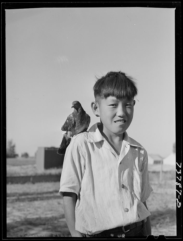 Shelley, Idaho. FSA (Farm Security Administration) mobile camp. Japanese child who lives with his parents at the camp by…