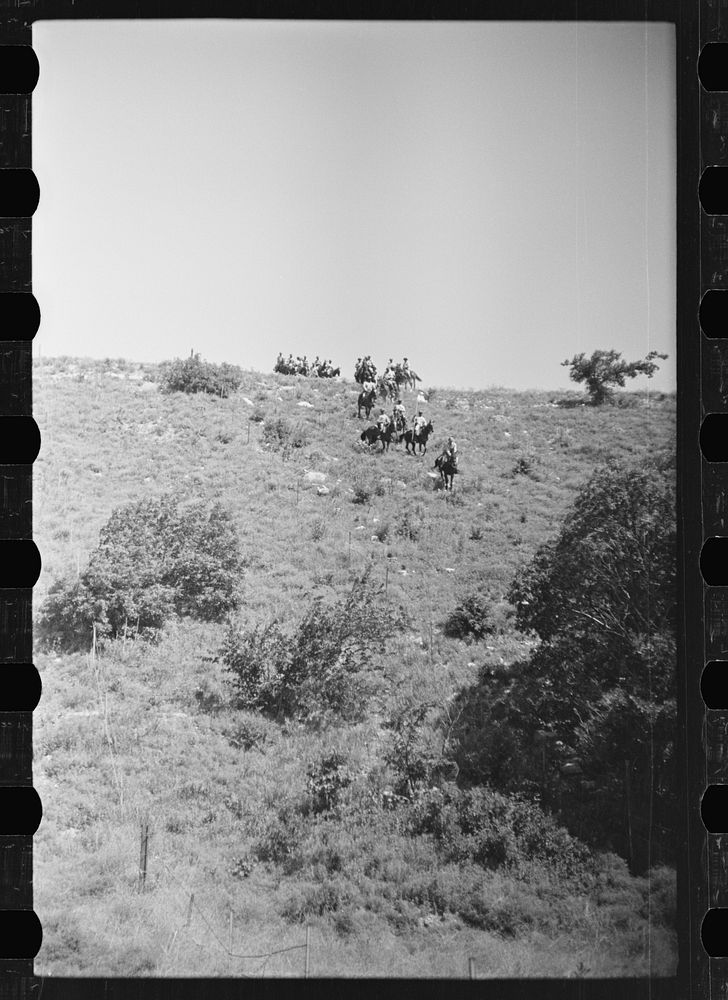 Fort Riley, Kansas. Cavalry unit moving over difficult terrain. Sourced from the Library of Congress.