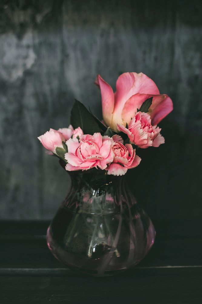 Free pink flowers image, public domain home decoration CC0 photo.