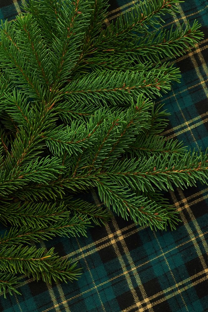 Free holiday background image, public domain Christmas CC0 photo.