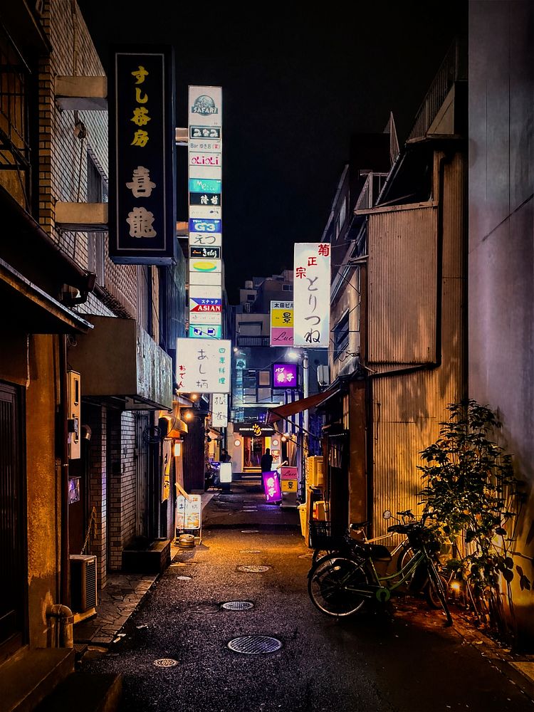 Bars Lining a Dark Back-Alley, Taito, Tokyo, Japan