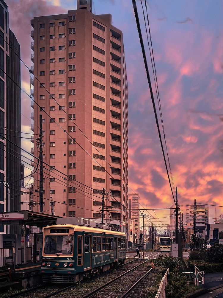 Wild Sunset, Tokyo Sakura Tram, Mukohara Station