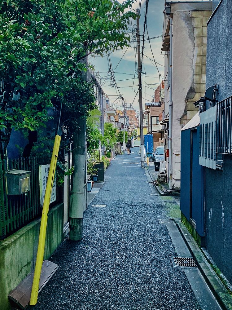 Neighborhood Alley, Tokyo, Japan