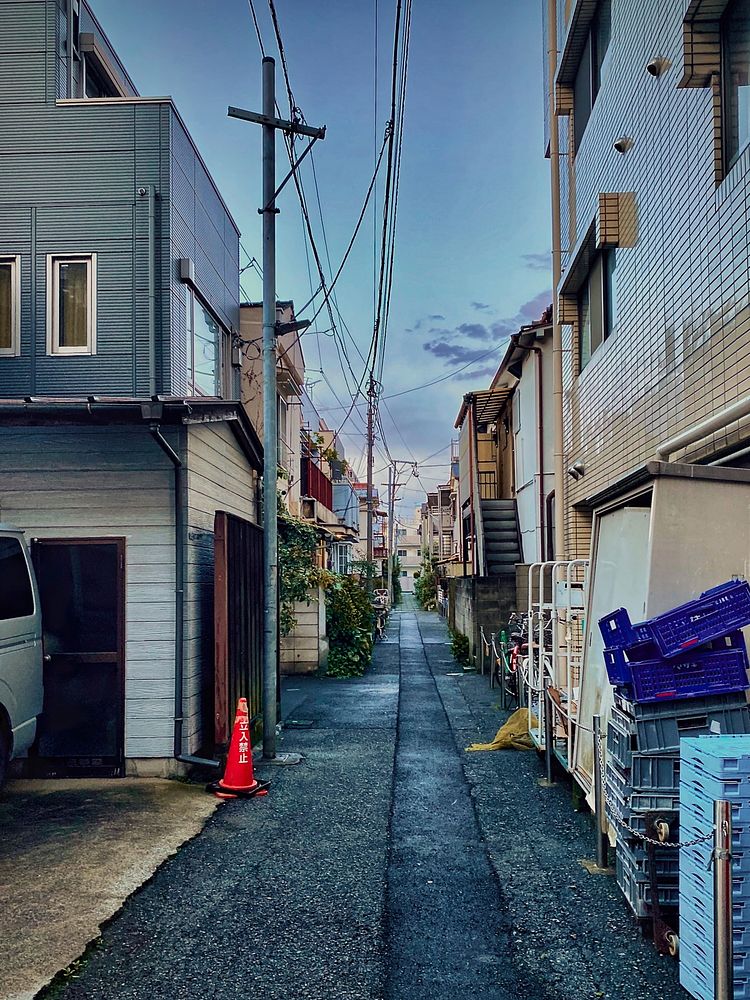 Neighborhood Alley, Tokyo, Japan
