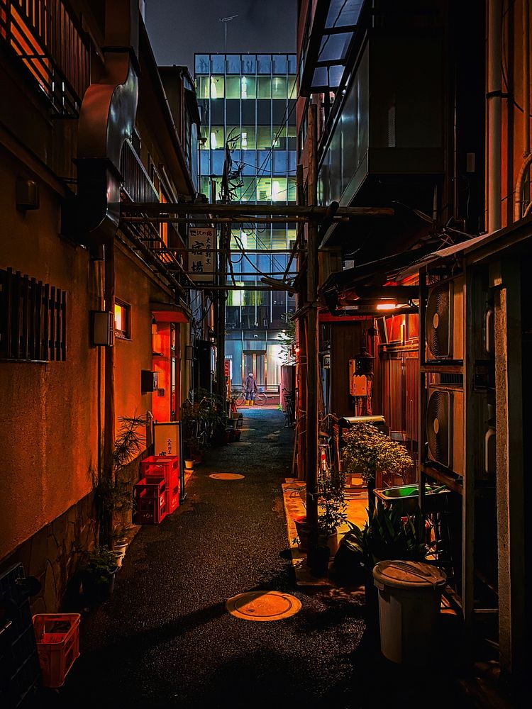 Urban Alley at Night, Tokyo, Japan
