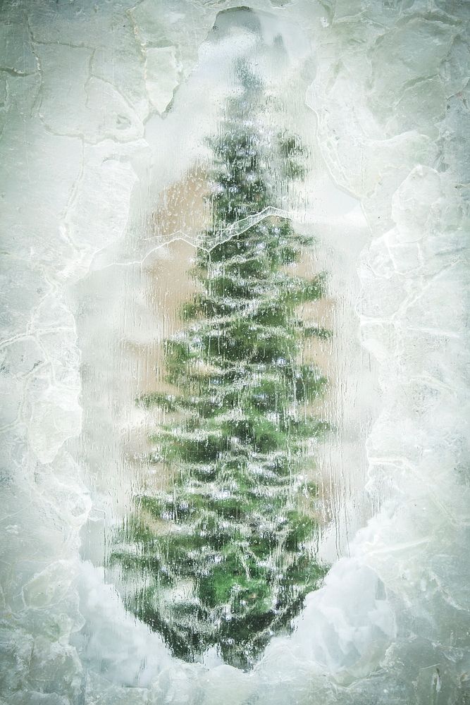 Free Christmas tree image, public domain decoration CC0 photo.