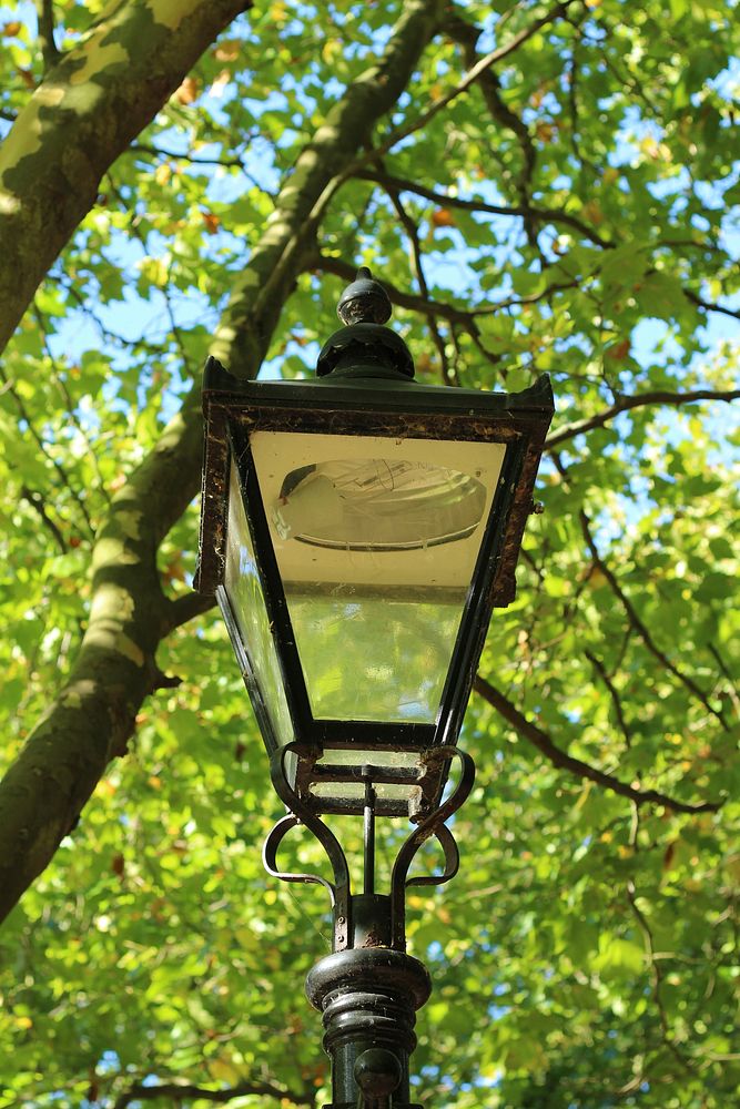 Free street light lamp image, public domain CC0 photo.